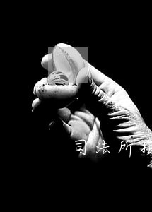 司法所接受群众法律咨询 司法所接受群众法律咨询