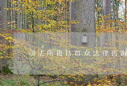 司法所接待群众法律咨询 司法所接待群众法律咨询