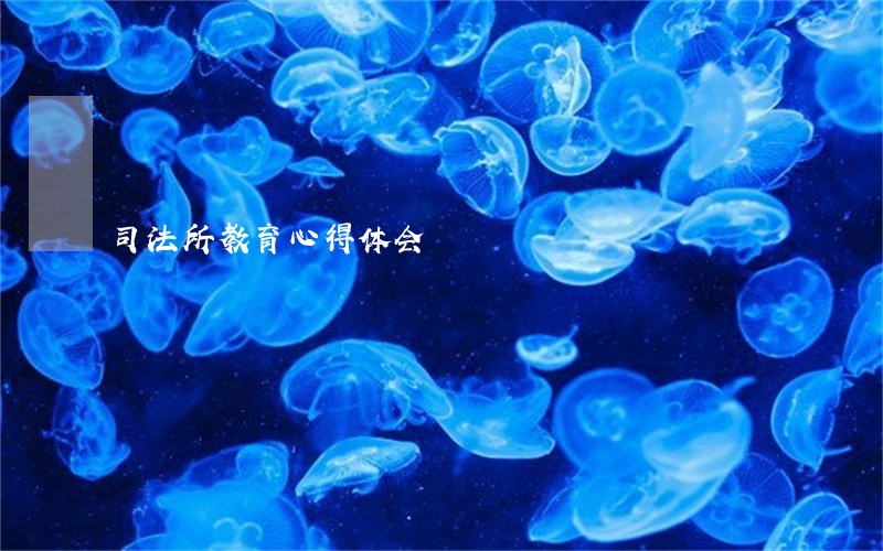 司法所教育心得体会 司法所教育心得体会