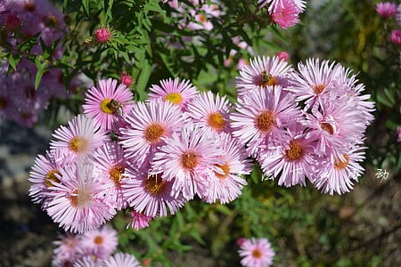 司法所春节送法下乡活动记录
