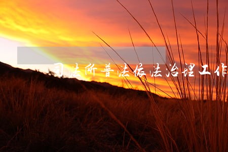 司法所普法依法治理工作总结 司法所普法依法治理工作总结