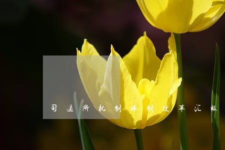 司法所机制体制改革汇报材料 司法所机制体制改革汇报材料