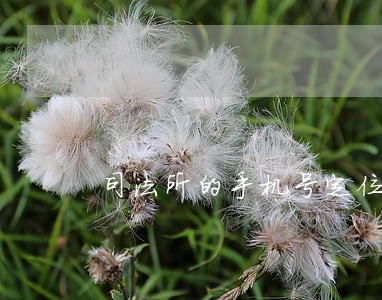 司法所的手机号定位可以呼叫转移吗 司法所的手机号定位可以呼叫转移吗