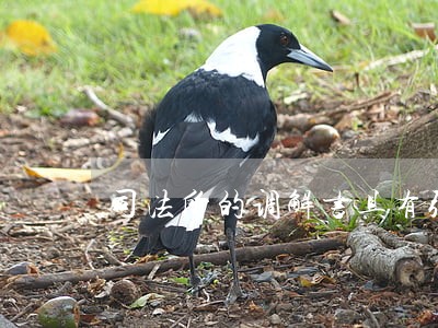 司法所的调解书具有强制性吗 司法所的调解书具有强制性吗