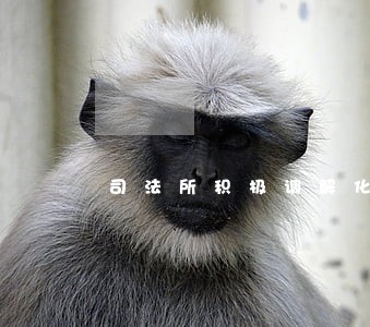 司法所积极调解化解矛盾纠纷 司法所积极调解化解矛盾纠纷