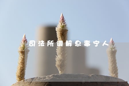司法所调解息事宁人 司法所调解息事宁人