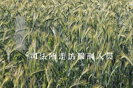 司法所走访服刑人员 司法所走访服刑人员