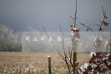 司法所长吕一丁 司法所长吕一丁