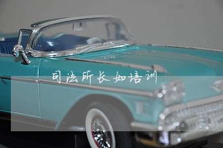 司法所长如培训 司法所长如培训