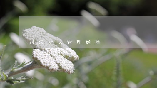 司法所长管理经验 司法所长管理经验