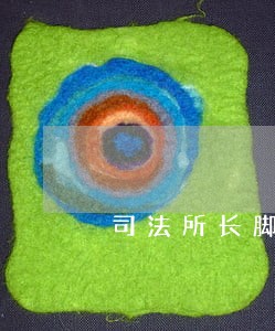 司法所长脚踹打工妹最新 司法所长脚踹打工妹最新