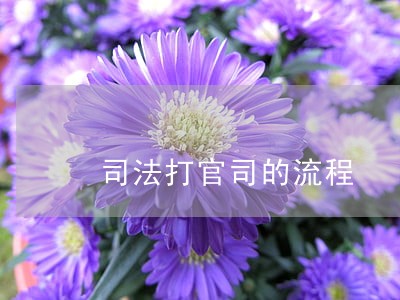 司法打官司的流程