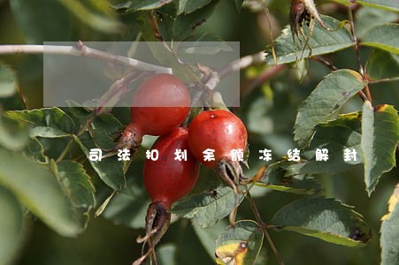 司法扣划余额冻结解封 司法扣划余额冻结解封