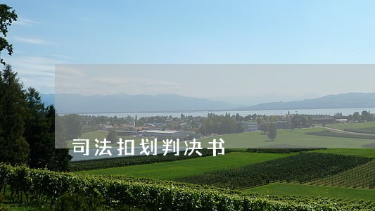 司法扣划判决书 司法扣划判决书