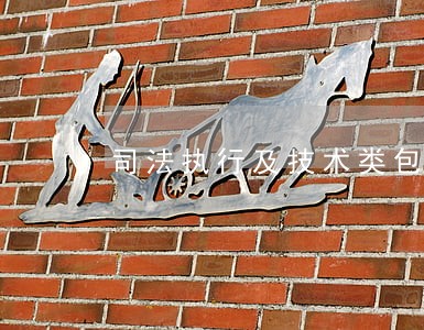 司法执行及技术类包括哪些专业