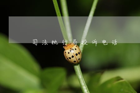 司法执行局投诉电话 司法执行局投诉电话