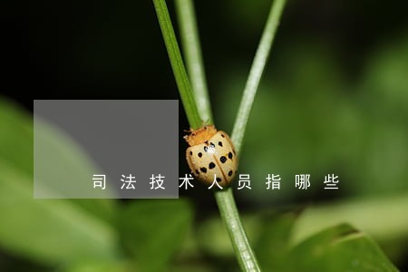 司法技术人员指哪些 司法技术人员指哪些