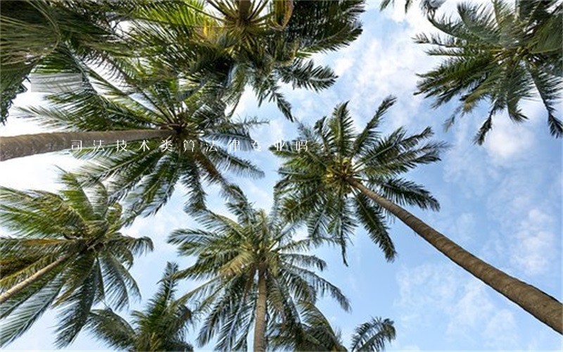 司法技术类算法律专业吗 司法技术类算法律专业吗