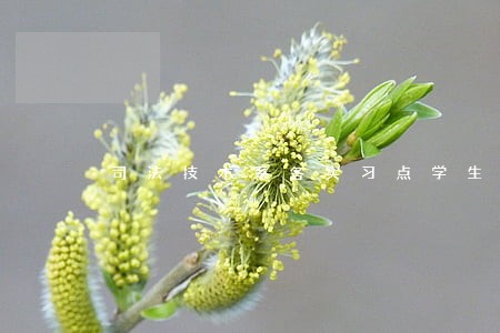 司法技术系各实习点学生载誉归来 司法技术系各实习点学生载誉归来