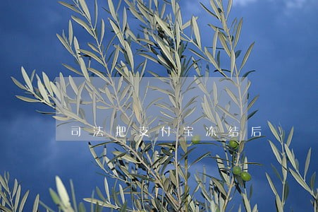 司法把支付宝冻结后 司法把支付宝冻结后