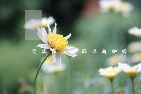 司法抓人会短信通知吗 司法抓人会短信通知吗