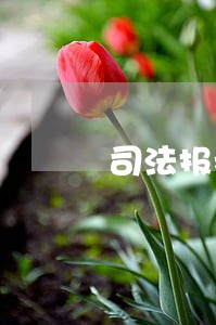 司法报考入口 司法报考入口