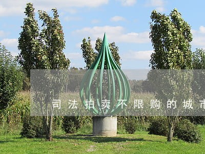 司法拍卖不限购的城市有哪些 司法拍卖不限购的城市有哪些