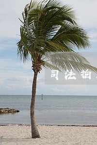 司法拍卖专员年终个人工作总结 司法拍卖专员年终个人工作总结
