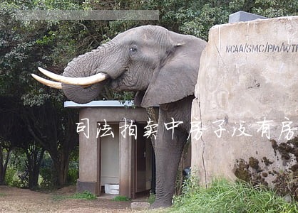 司法拍卖中房子没有房产证 司法拍卖中房子没有房产证