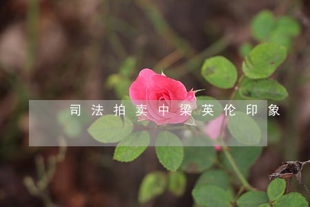 司法拍卖中梁英伦印象 司法拍卖中梁英伦印象