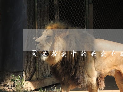 司法拍卖中的买卖不破租赁 司法拍卖中的买卖不破租赁
