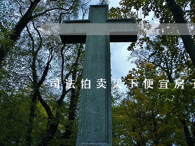 司法拍卖买下便宜房子 司法拍卖买下便宜房子
