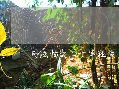 司法拍卖二十年租赁 司法拍卖二十年租赁