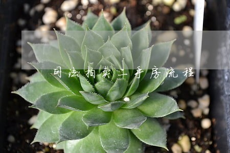 司法拍卖二手房流程 司法拍卖二手房流程