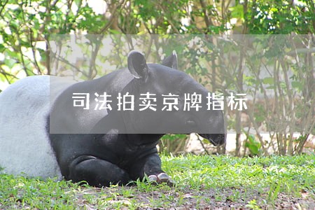 司法拍卖京牌指标 司法拍卖京牌指标