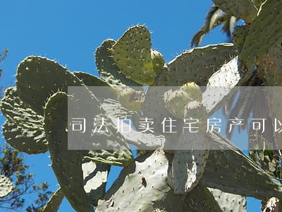司法拍卖住宅房产可以贷款吗 司法拍卖住宅房产可以贷款吗
