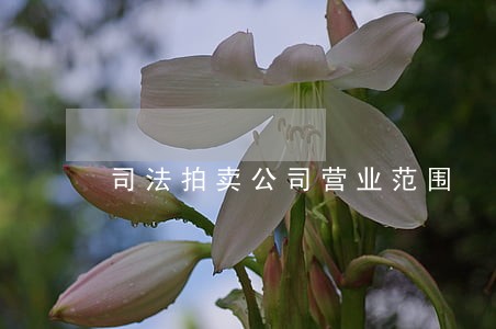 司法拍卖公司营业范围