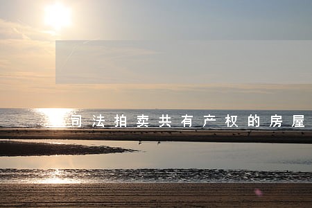 司法拍卖共有产权的房屋