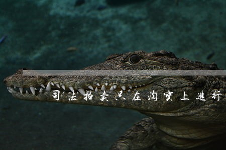 司法拍卖只在淘宝上进行了吗 司法拍卖只在淘宝上进行了吗