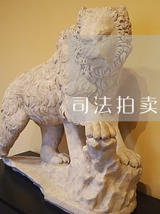 司法拍卖同户型楼层装修 司法拍卖同户型楼层装修