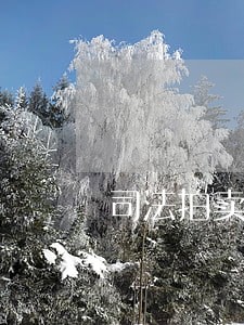司法拍卖和常规的交易的差异