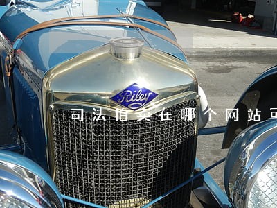 司法拍卖在哪个网站可以询