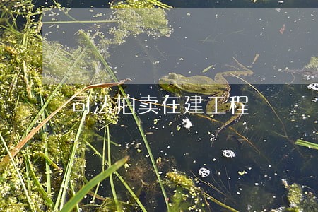 司法拍卖在建工程