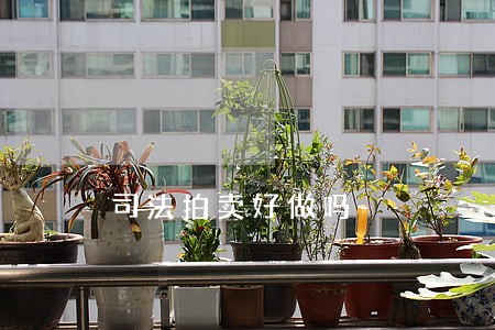司法拍卖好做吗 司法拍卖好做吗