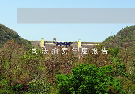 司法拍卖年度报告 司法拍卖年度报告