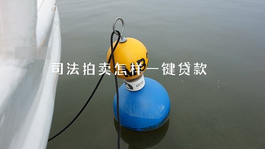 司法拍卖怎样一键贷款