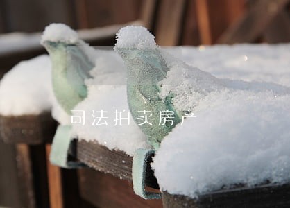 司法拍卖房产 司法拍卖房产