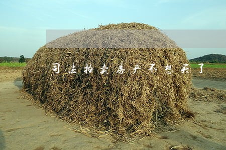 司法拍卖房产不想买了 司法拍卖房产不想买了