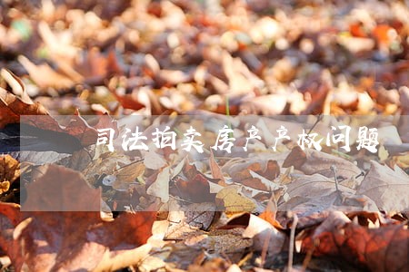 司法拍卖房产产权问题 司法拍卖房产产权问题