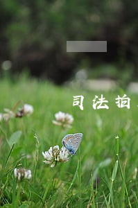 司法拍卖房产便宜 司法拍卖房产便宜